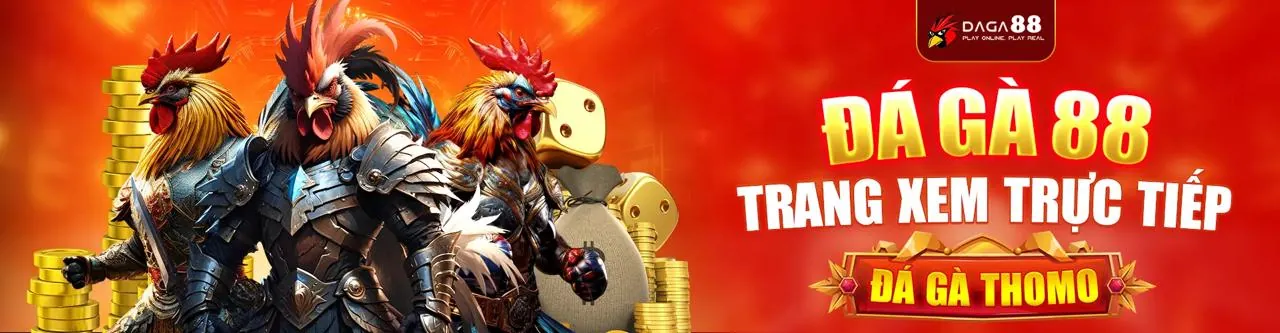 Đá gà trực tuyến kịch tính tại okbay app